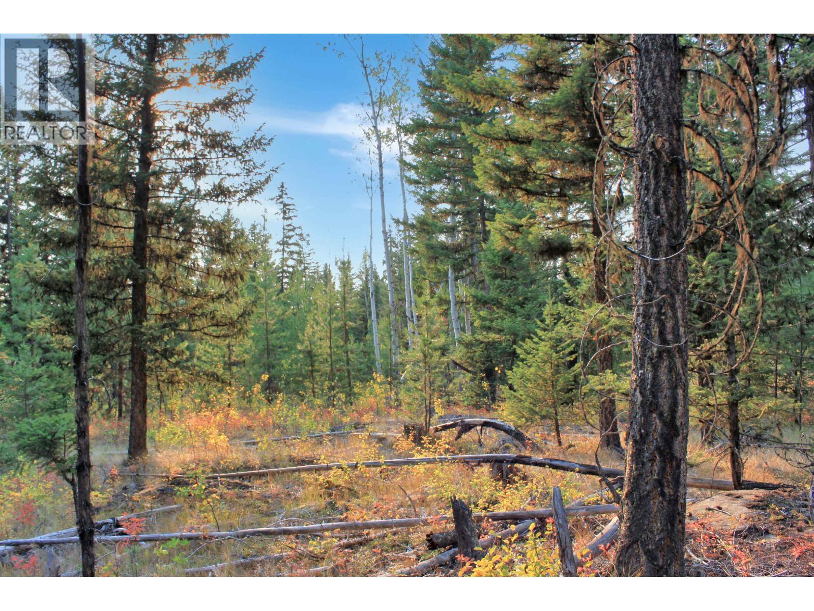 Prop Lot 4 Brown Road, Bridge Lake, BC