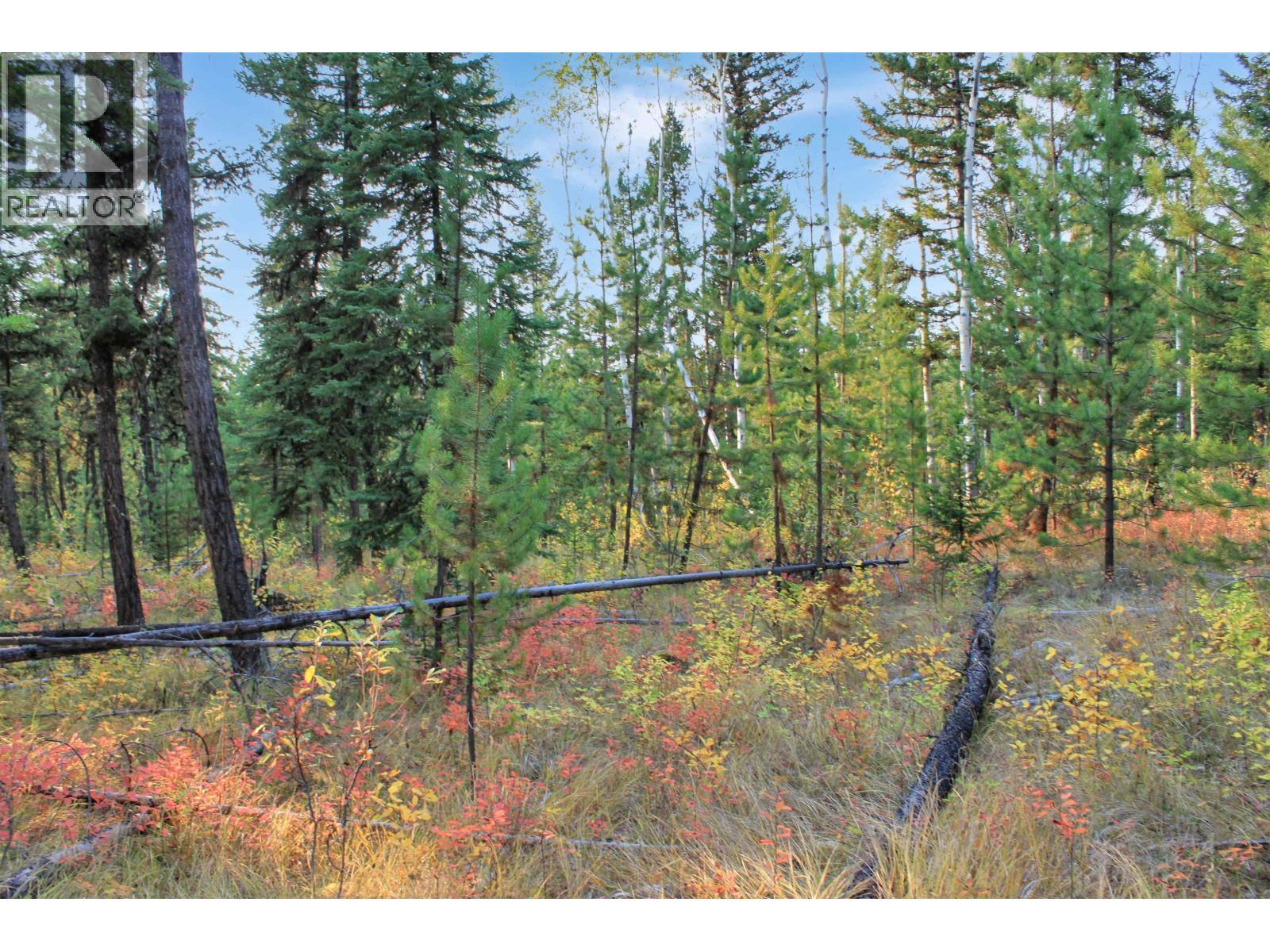 Prop Lot 4 Brown Road, Bridge Lake, BC