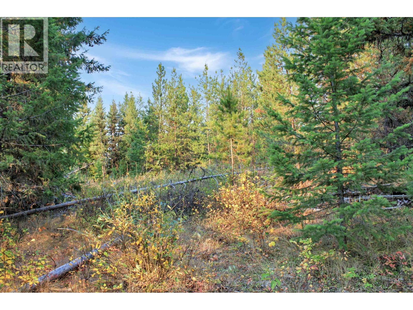 Prop Lot 4 Brown Road, Bridge Lake, BC