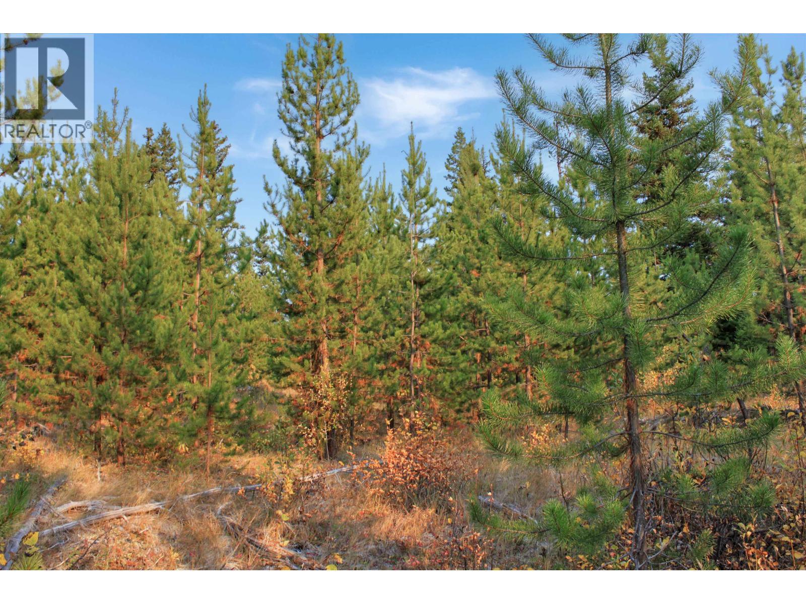 Prop Lot 4 Brown Road, Bridge Lake, BC