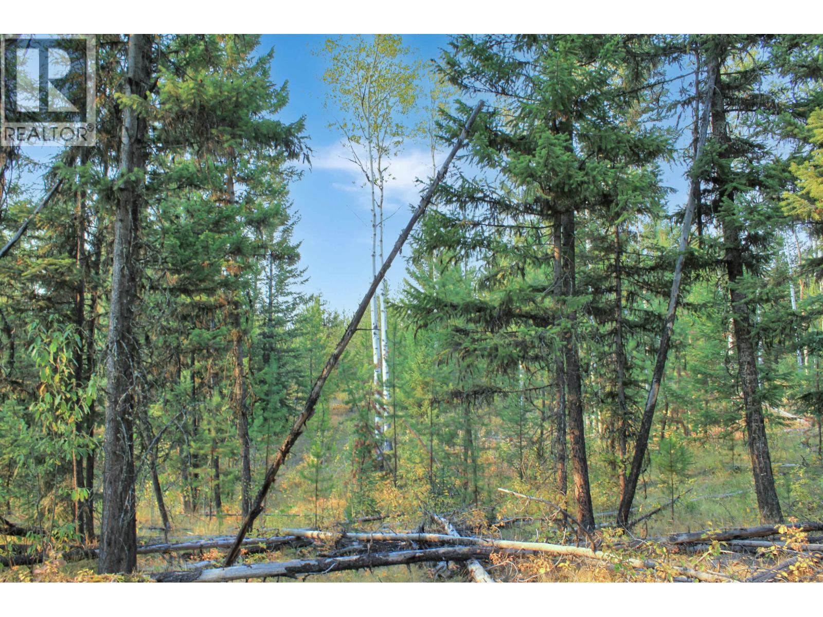 Prop Lot 4 Brown Road, Bridge Lake, BC