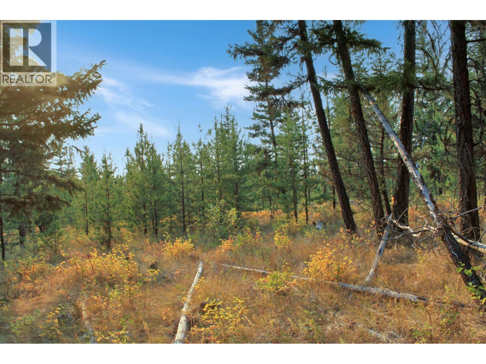 Prop Lot 4 Brown Road, Bridge Lake, BC