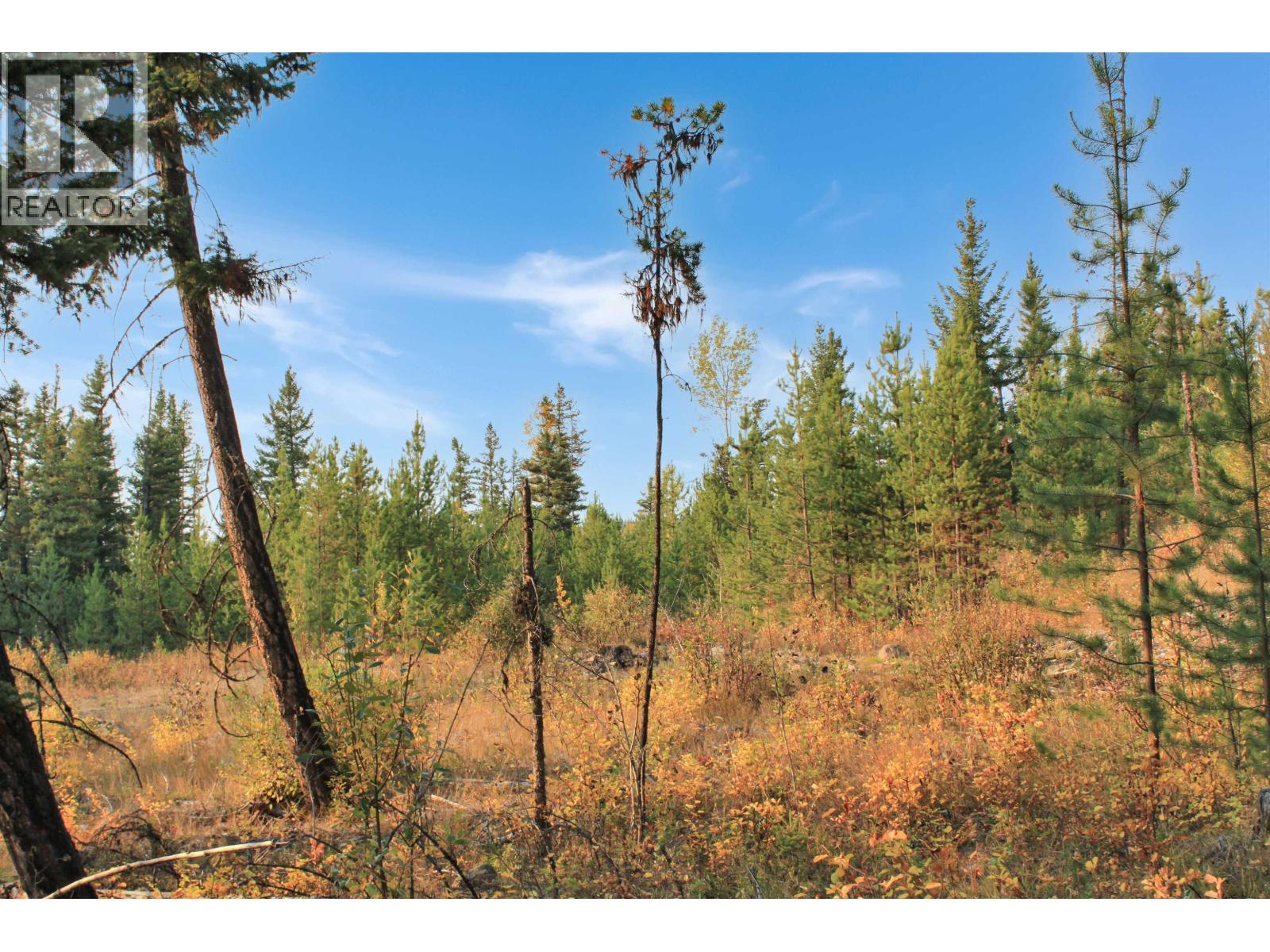 Prop Lot 4 Brown Road, Bridge Lake, BC