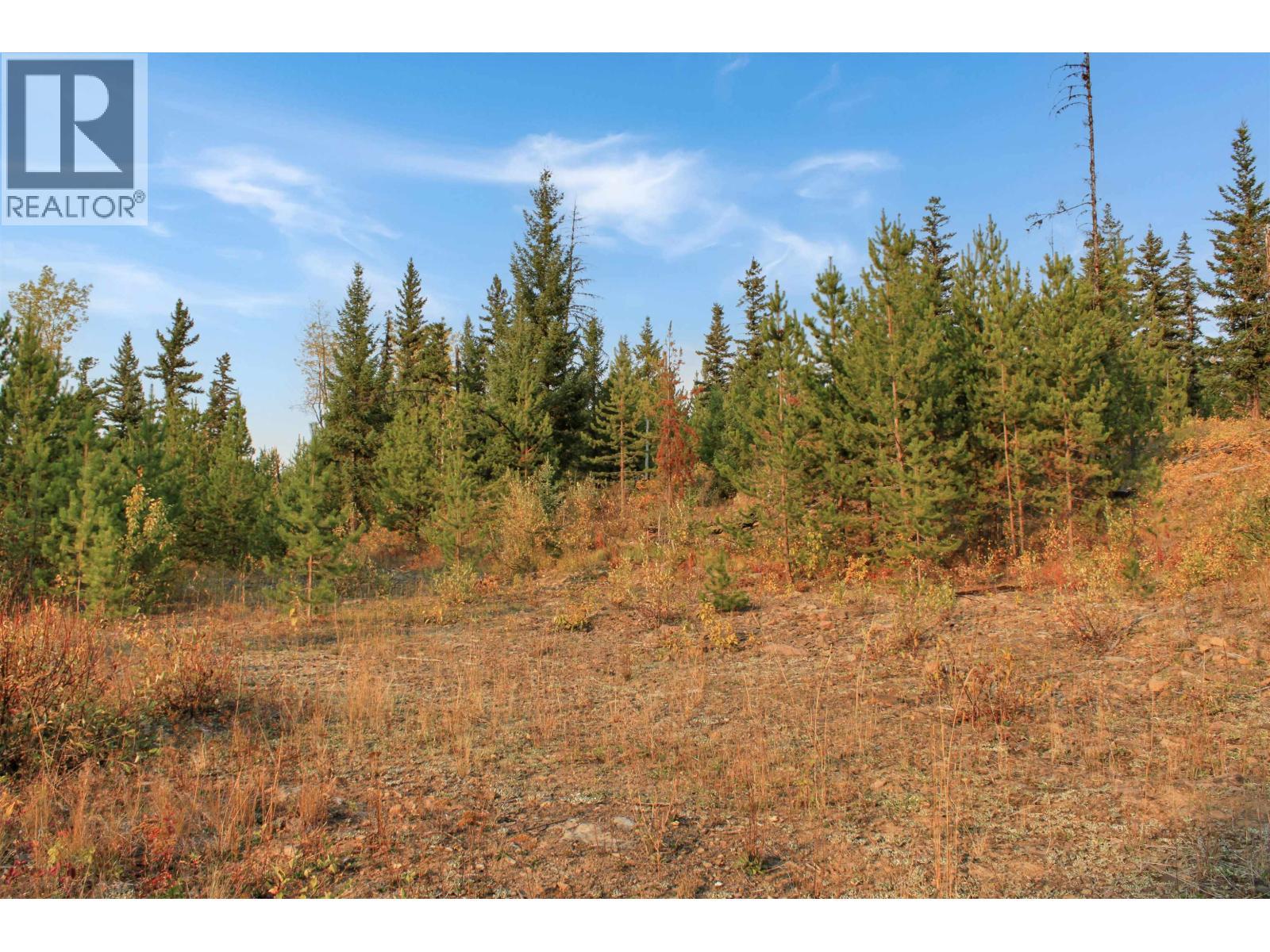 Prop Lot 4 Brown Road, Bridge Lake, BC