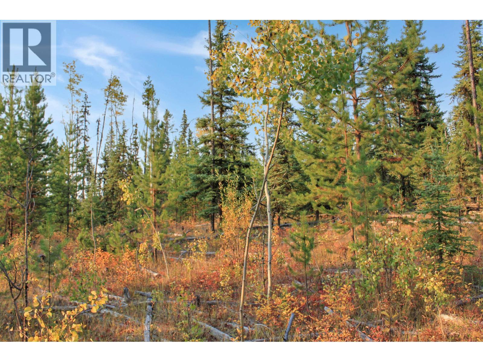 Prop Lot 4 Brown Road, Bridge Lake, BC