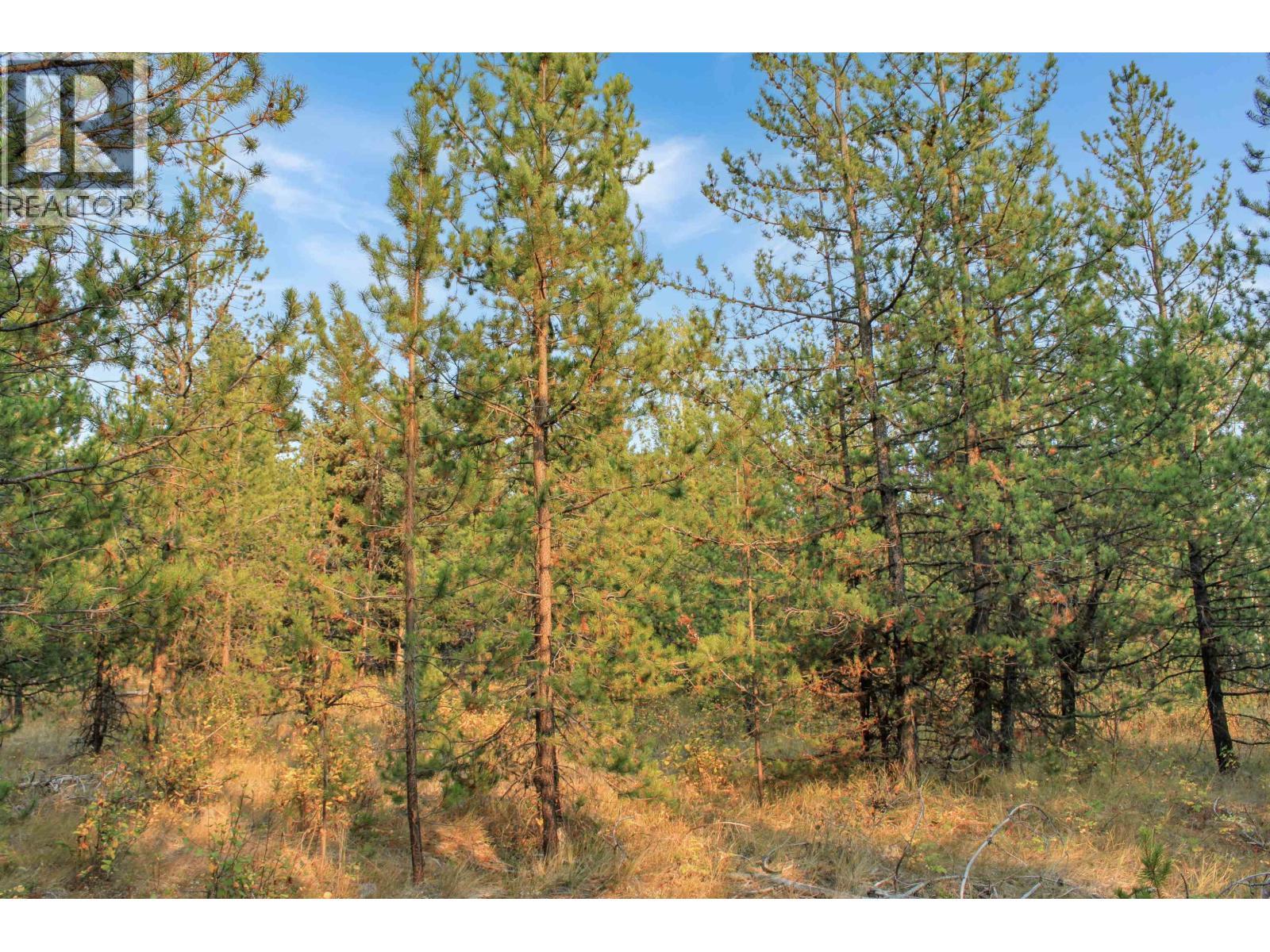 Prop Lot 4 Brown Road, Bridge Lake, BC