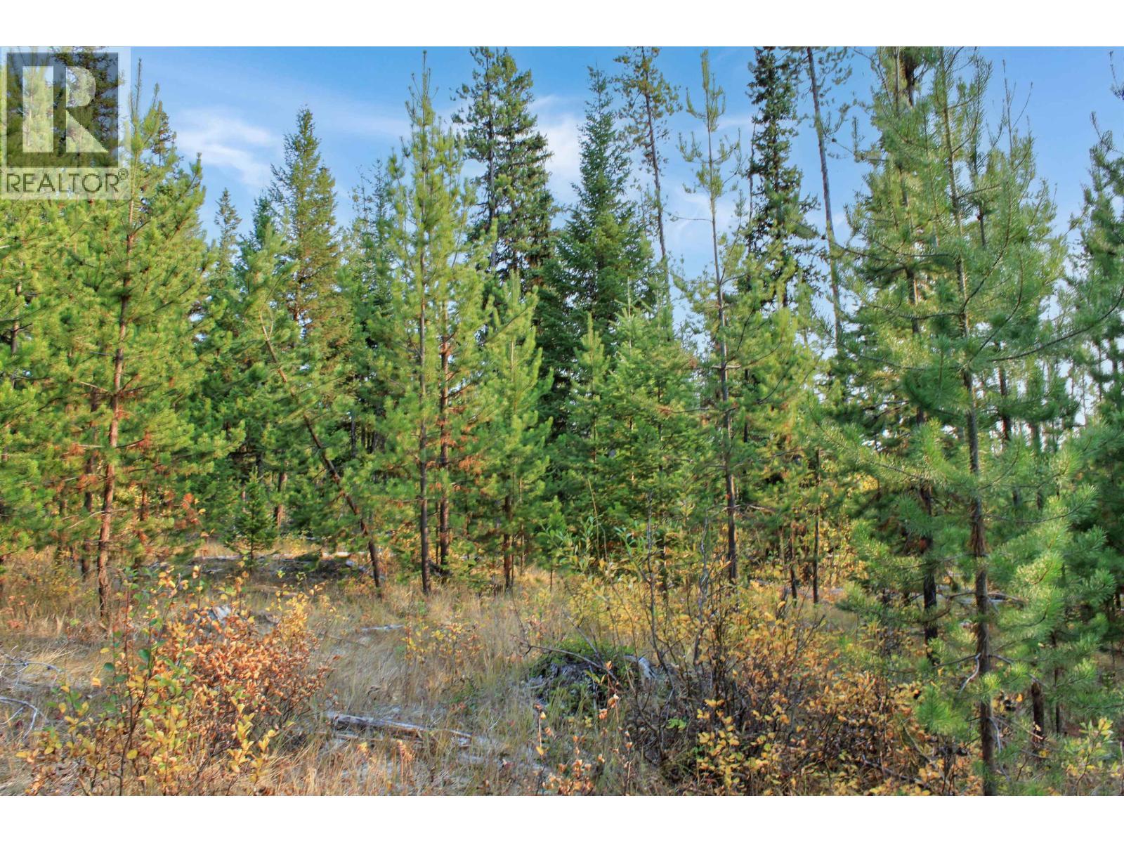 Prop Lot 4 Brown Road, Bridge Lake, BC