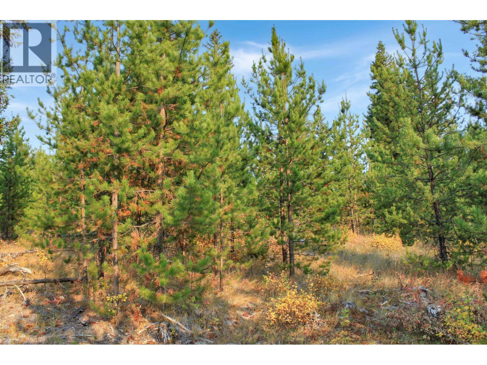 Prop Lot 4 Brown Road, Bridge Lake, BC