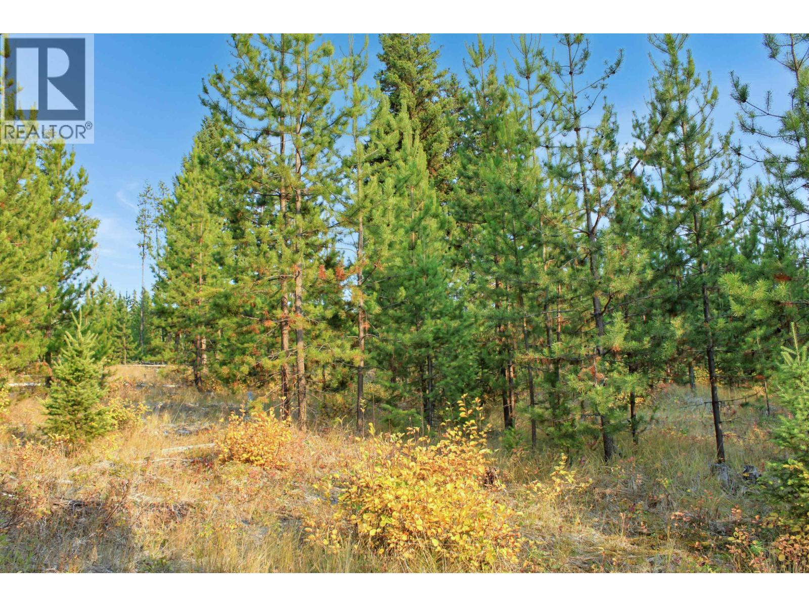 Prop Lot 4 Brown Road, Bridge Lake, BC