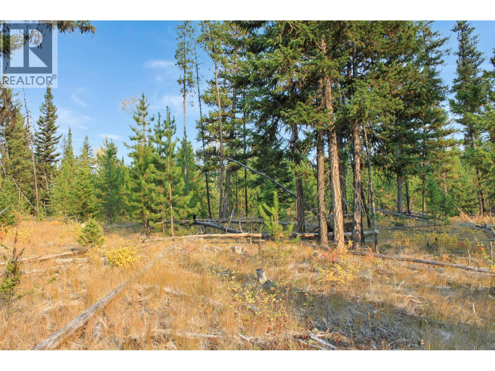 Prop Lot 4 Brown Road, Bridge Lake, BC