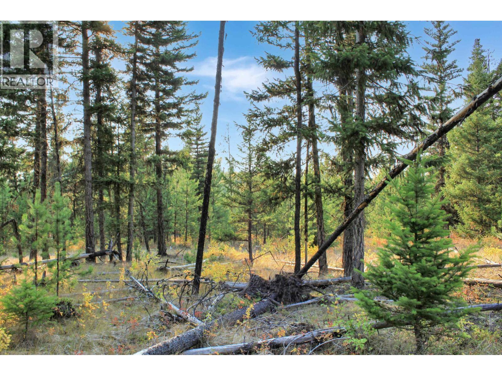 Prop Lot 4 Brown Road, Bridge Lake, BC