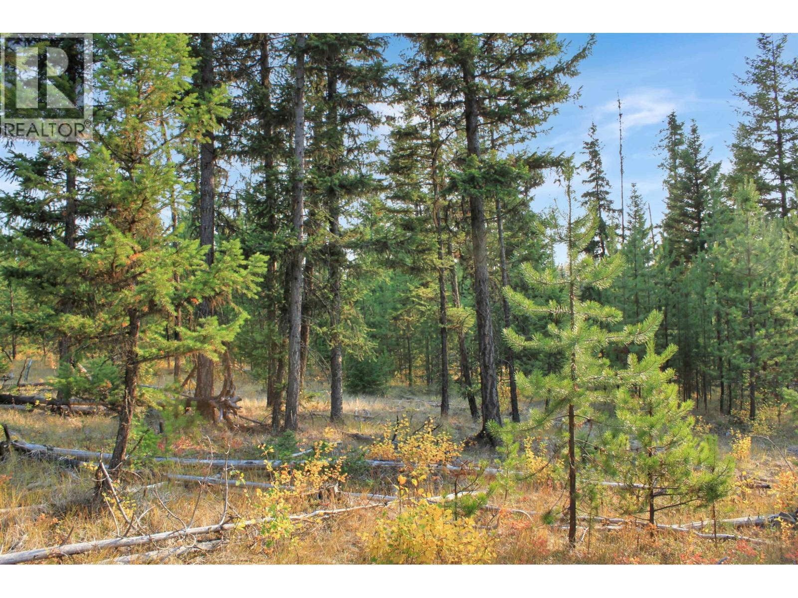 Prop Lot 4 Brown Road, Bridge Lake, BC