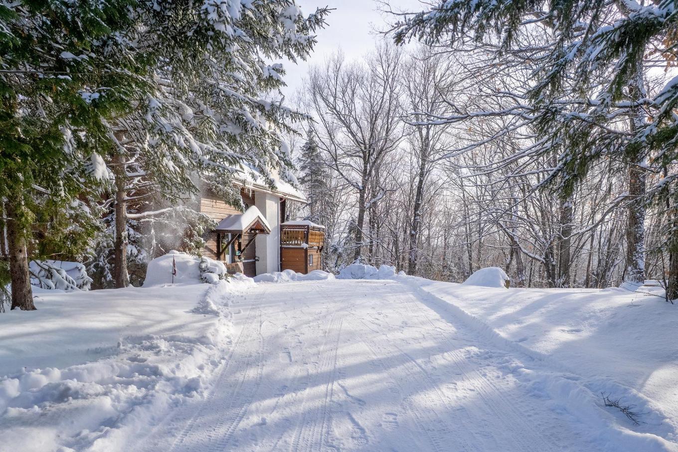 Stationnement - 139 Rue De Chamonix, Sainte-Agathe-Des-Monts, QC - Outdoor