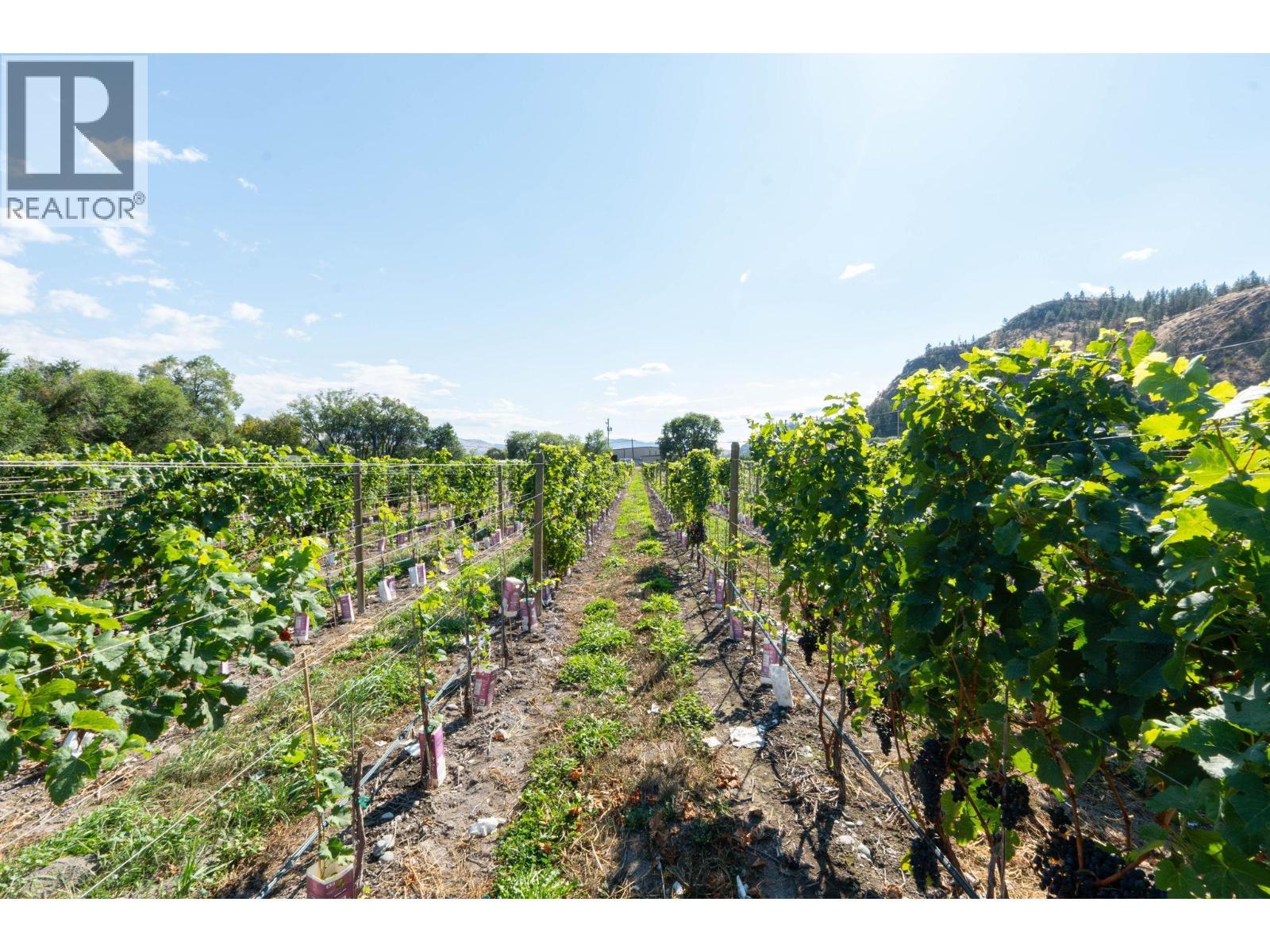 7337 Highway 97, Oliver, BC