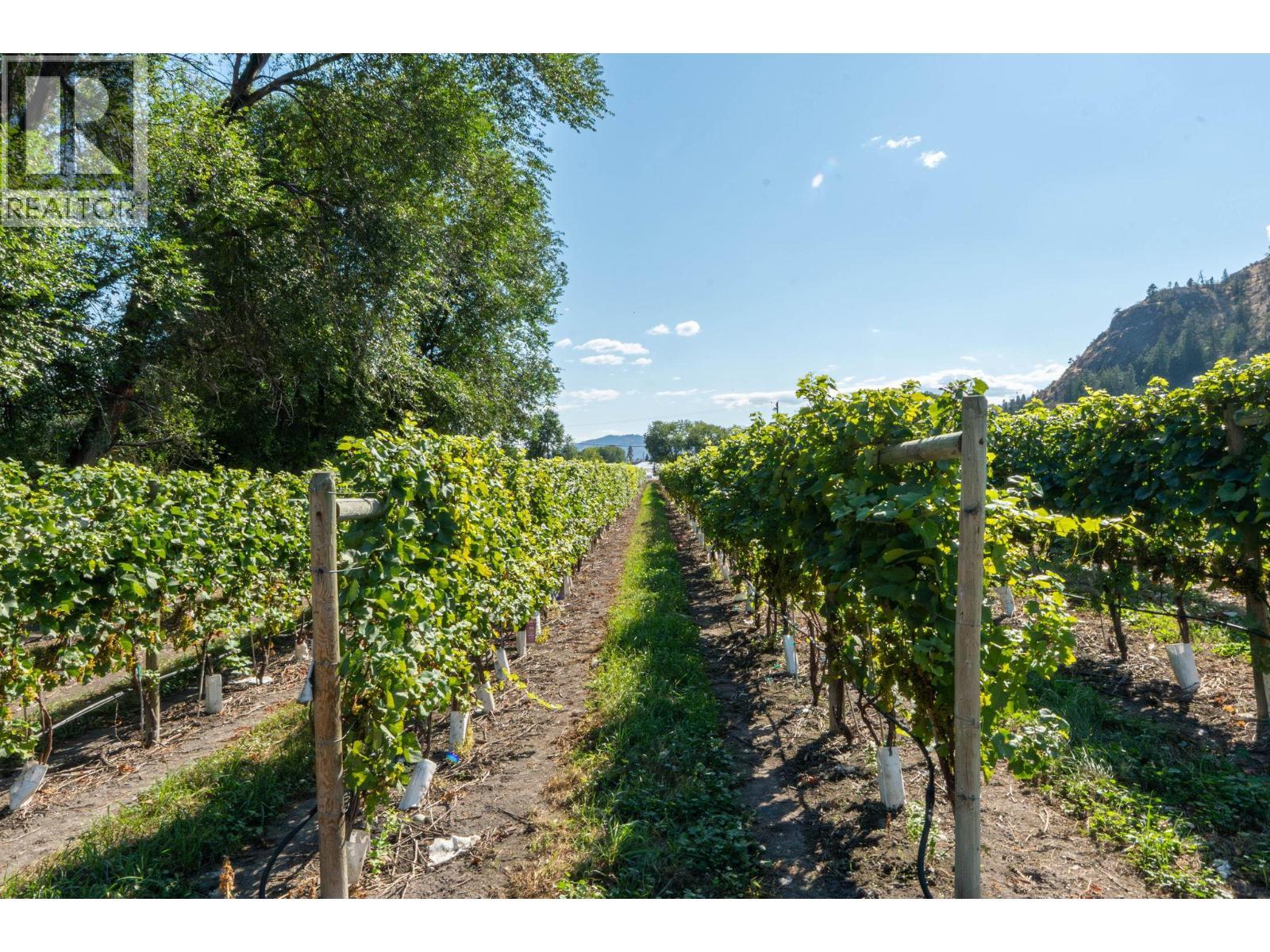 7337 Highway 97, Oliver, BC