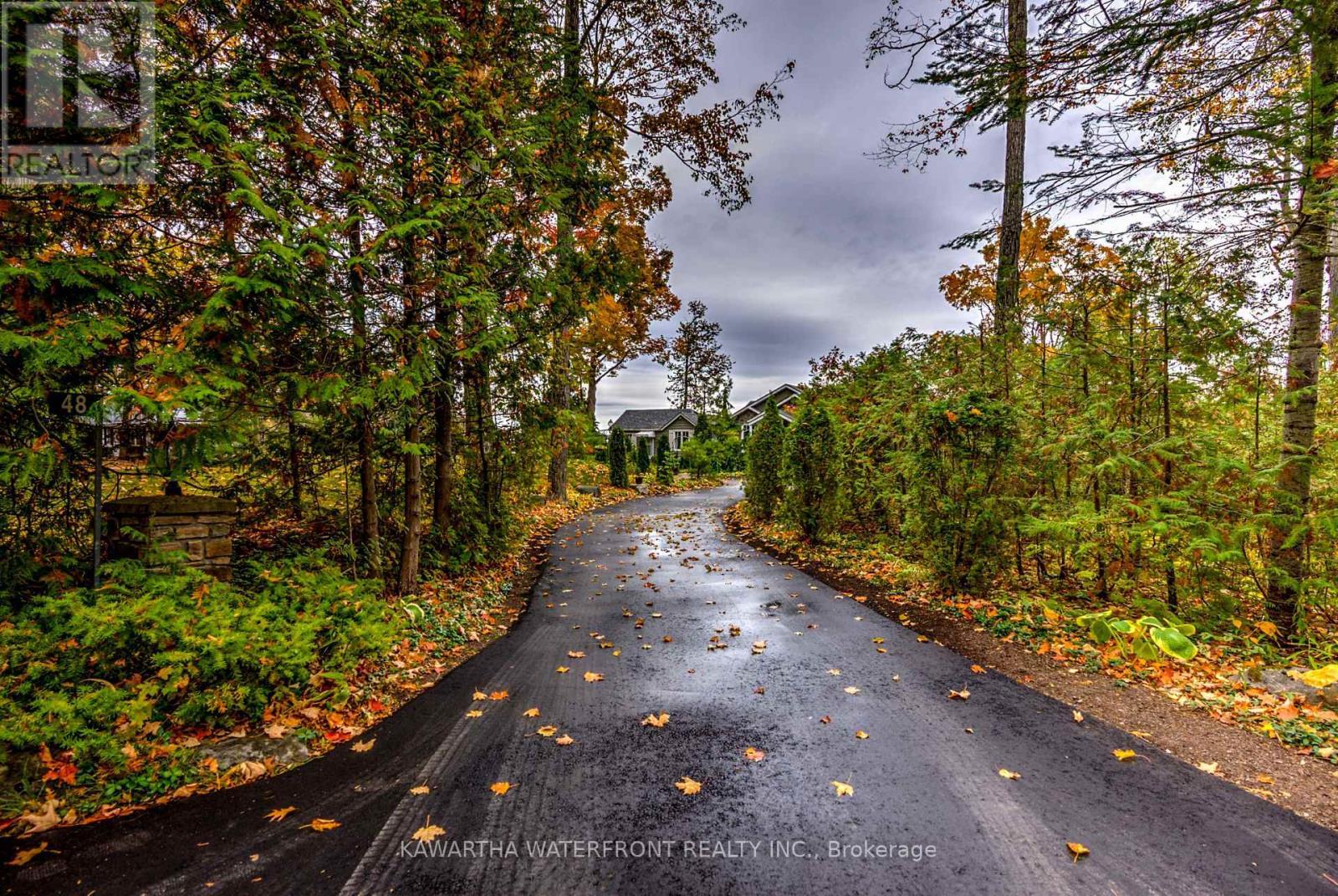 Roadside - 48 Maple Avenue, Kawartha Lakes (Bexley), ON - Outdoor