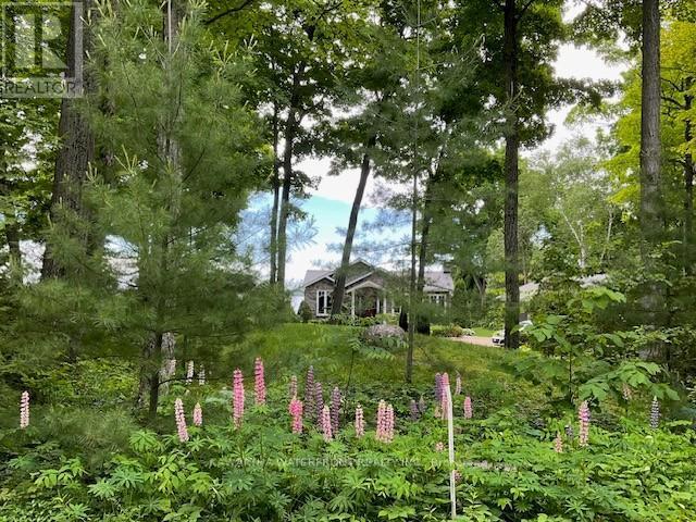 Roadside in Summer - 48 Maple Avenue, Kawartha Lakes (Bexley), ON - Outdoor