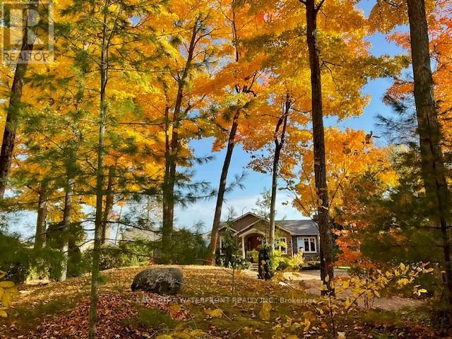 Roadside in Autumn - 48 Maple Avenue, Kawartha Lakes (Bexley), ON - Outdoor