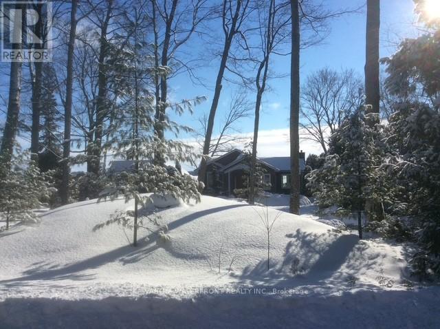 Roadside in Winter - 48 Maple Avenue, Kawartha Lakes (Bexley), ON - Outdoor