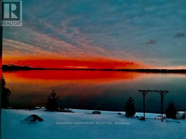 Winter Sunrise - Rosy-Fingered Dawn - 48 Maple Avenue, Kawartha Lakes (Bexley), ON - Outdoor With Body Of Water With View