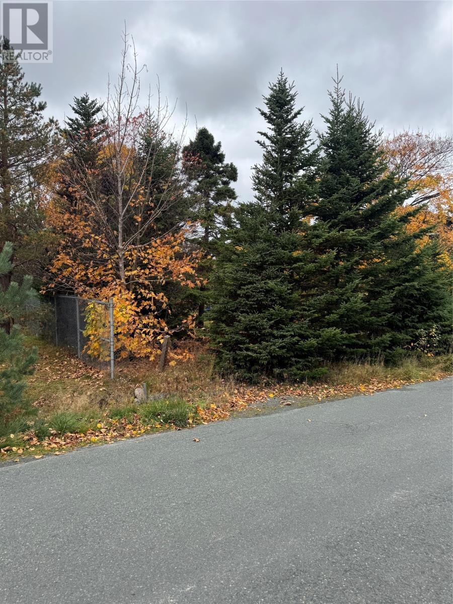 32C Cluneys Road, Conception Bay South, NL