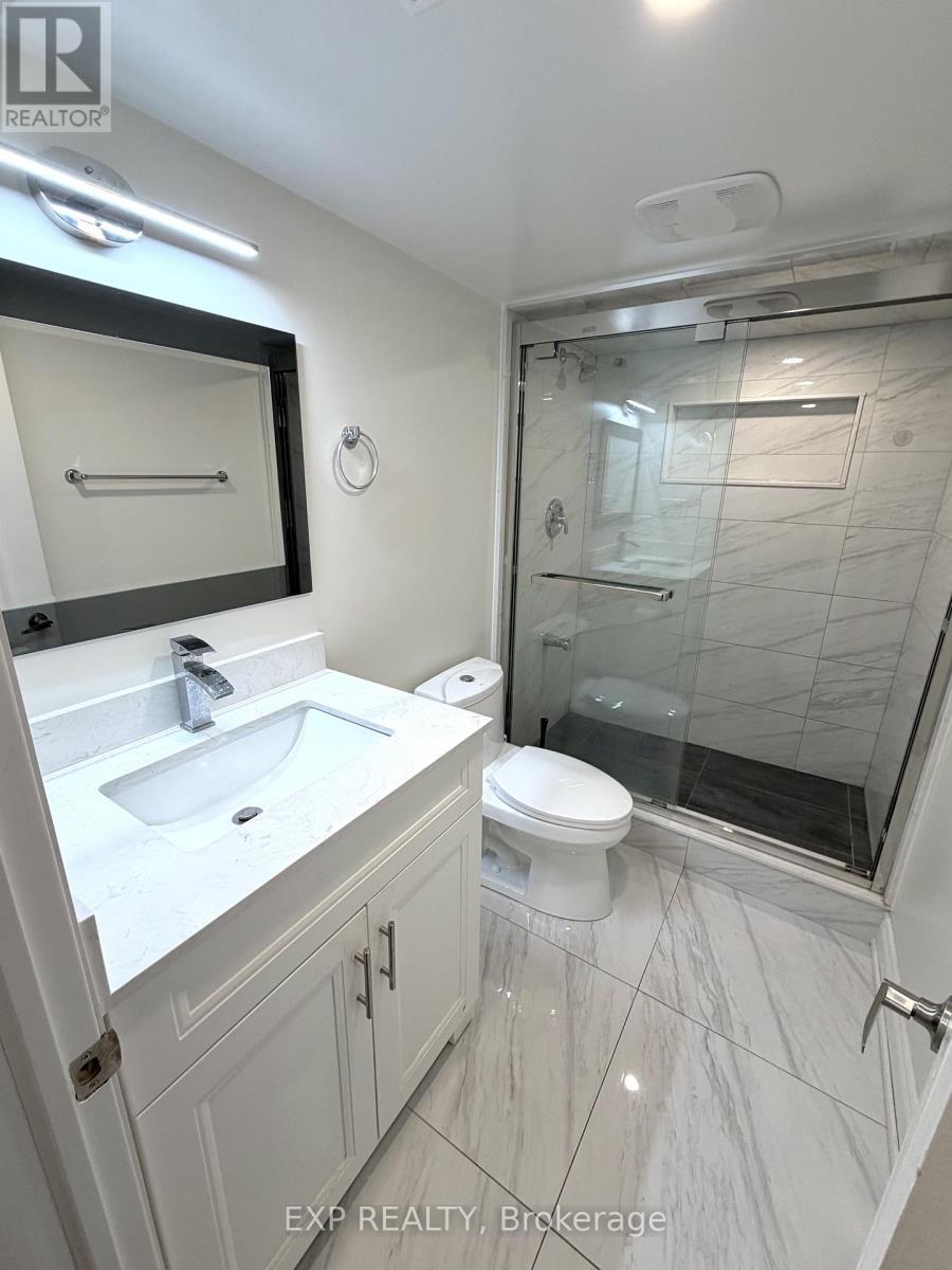 Lower - 16 Lady Evelyn Crescent, Brampton, ON - Indoor Photo Showing Bathroom