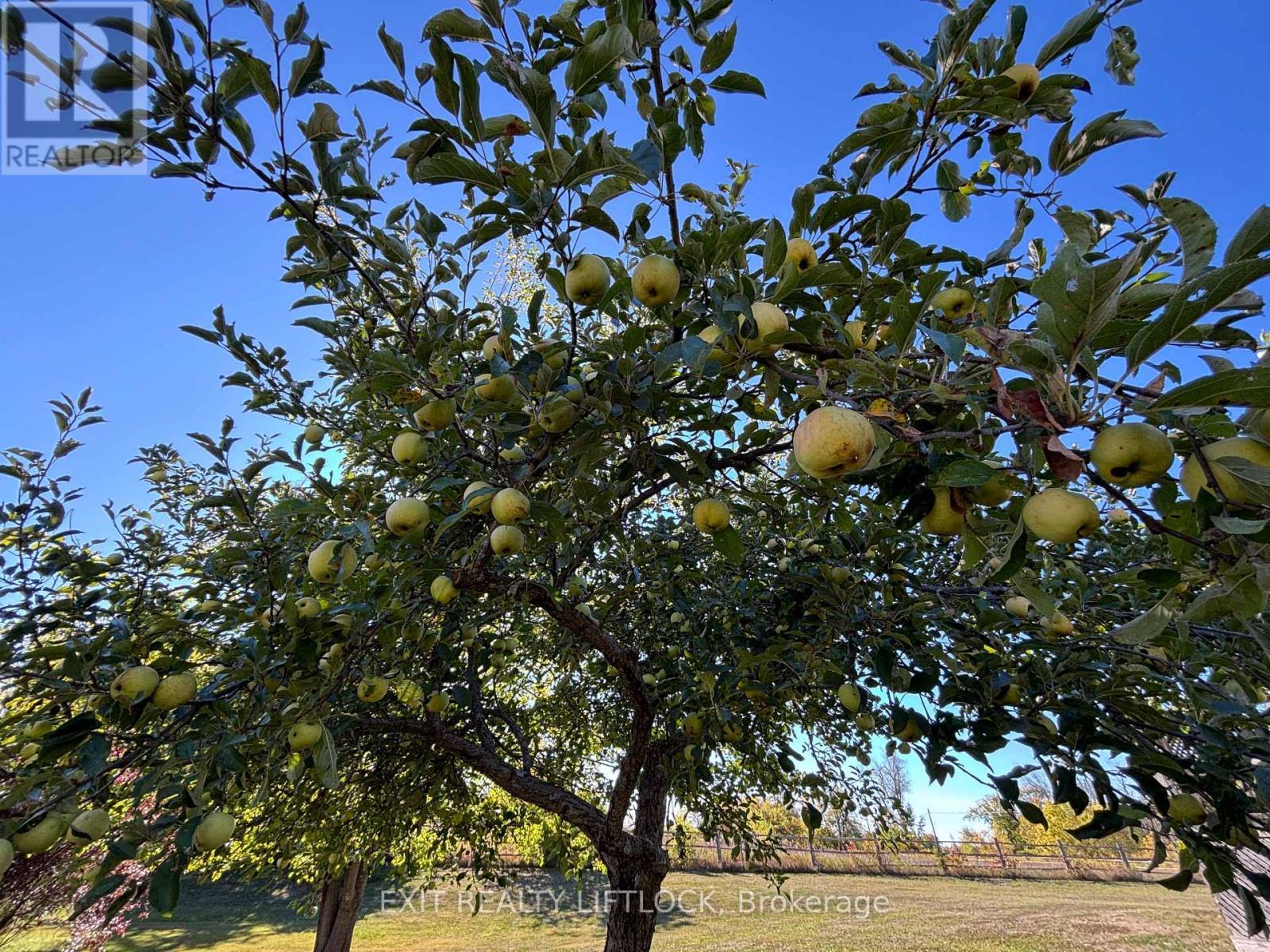 2725 Dummer Asphodel Road, Asphodel-Norwood, ON - Outdoor With View