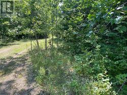 0 RED PINE ROAD Tay Valley, ON K0H 2B0