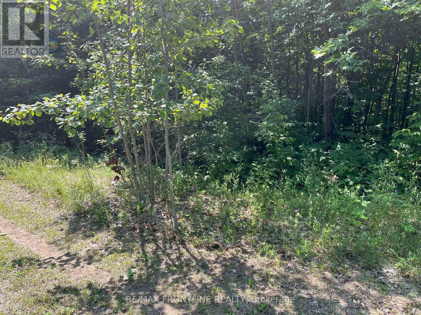 0 Red Pine Road, Tay Valley, ON