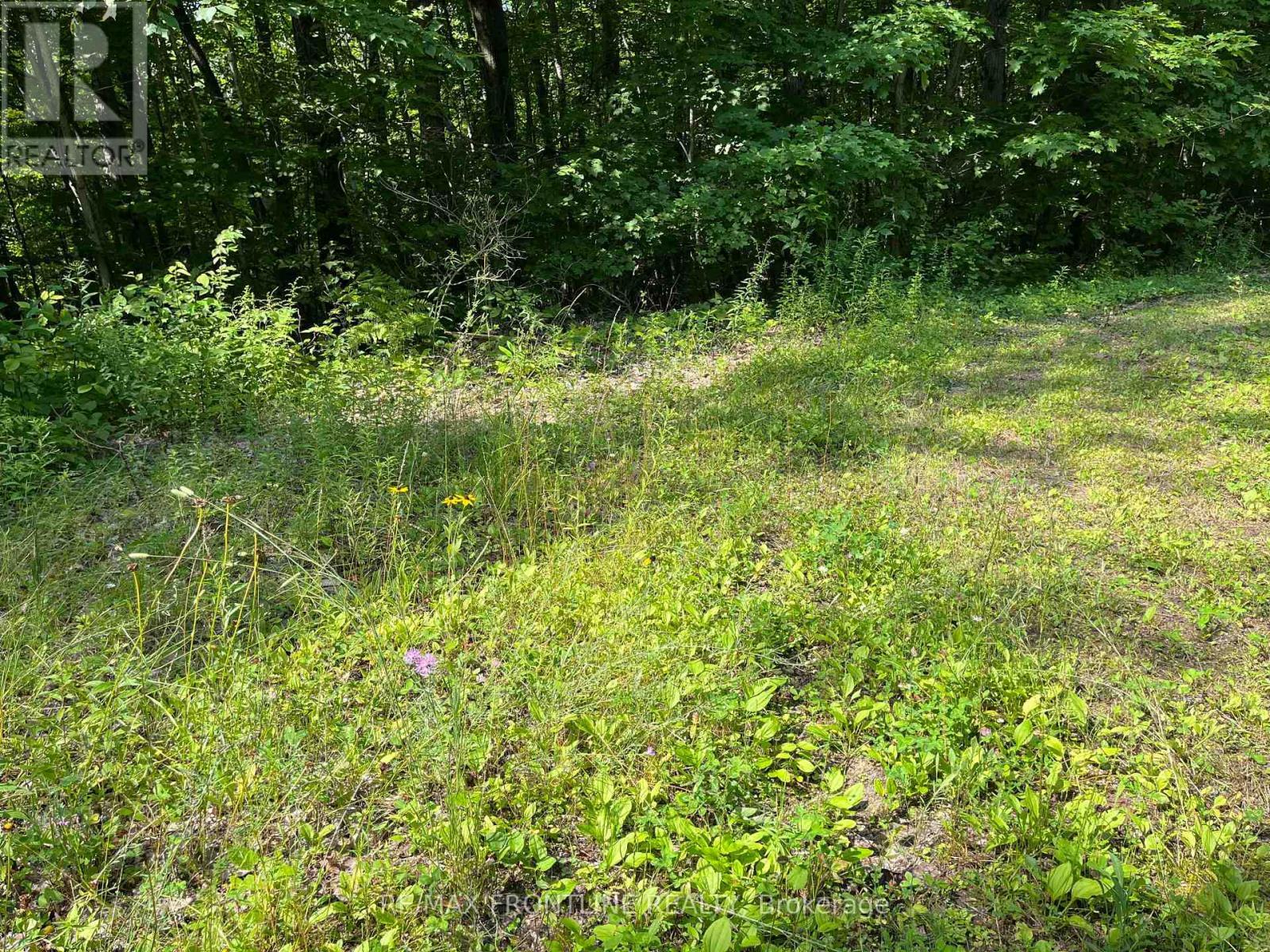 0 Red Pine Road, Tay Valley, ON