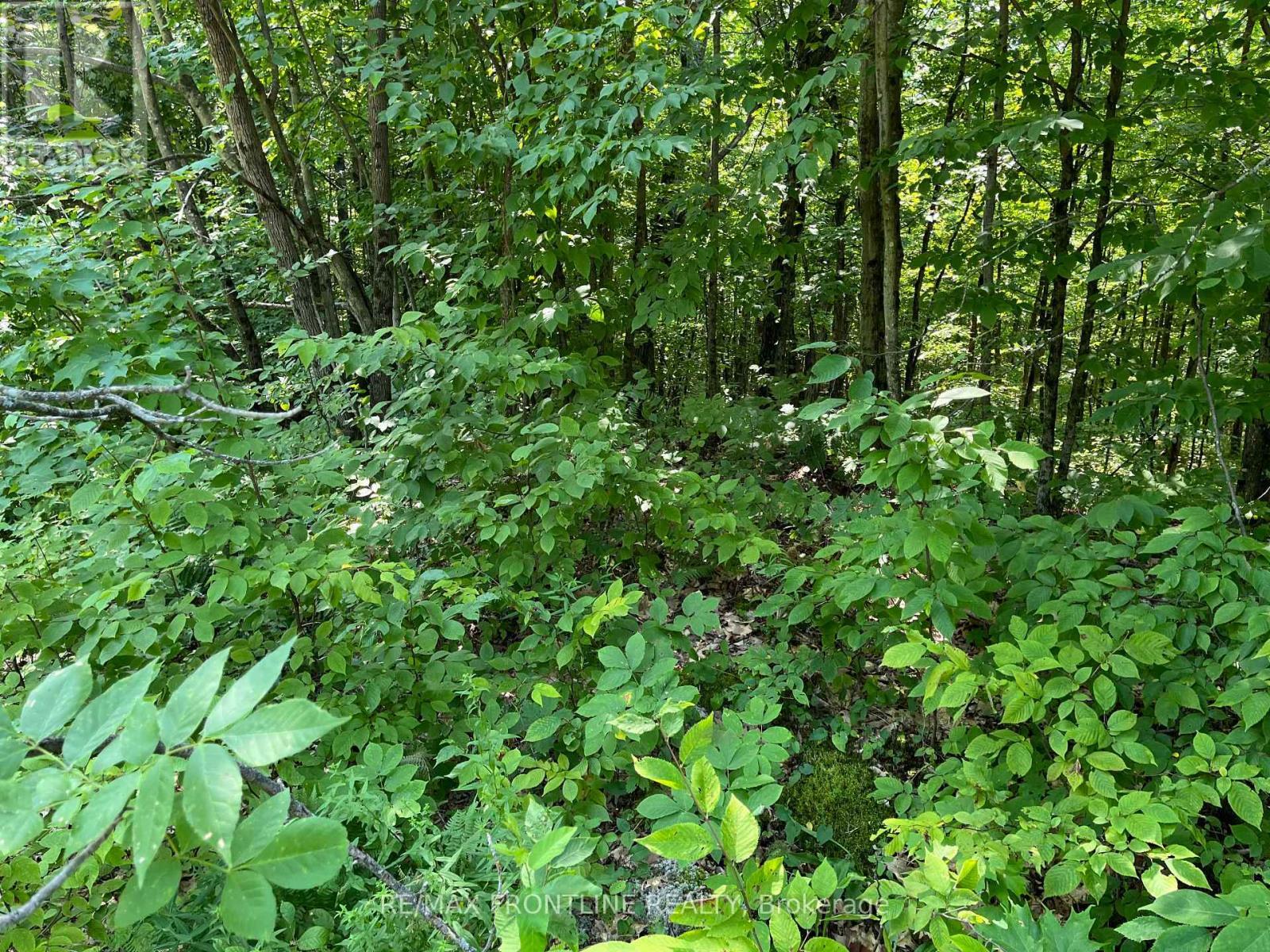 0 Red Pine Road, Tay Valley, ON