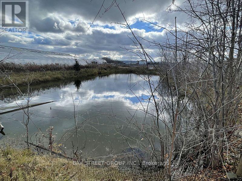 4390 South Service Road, Lincoln (Lincoln Lake), ON