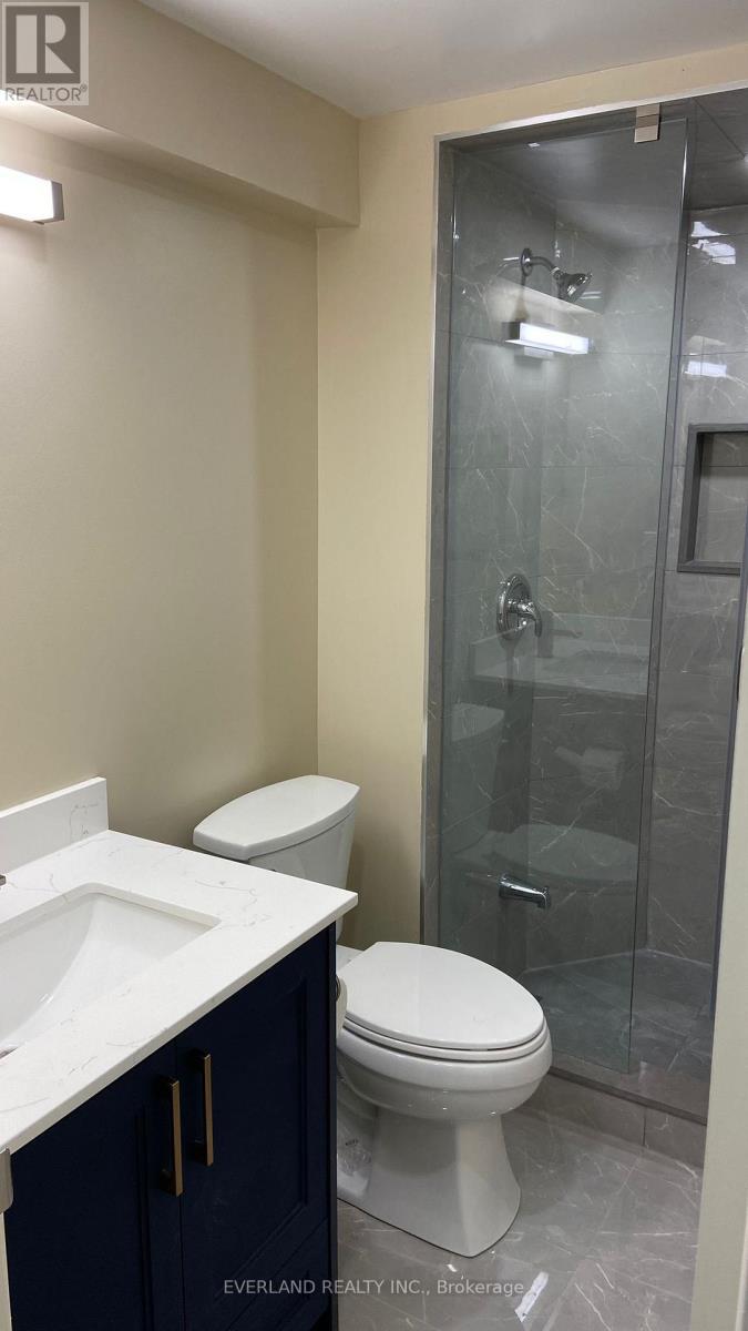 Bsmt B - 10 Damian Drive, Richmond Hill, ON - Indoor Photo Showing Bathroom