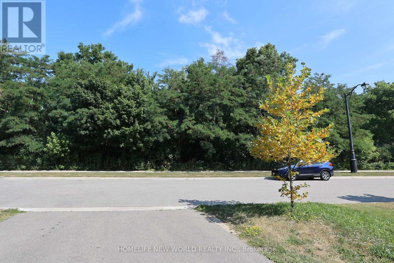 2Nd Master Bedroom - 41 Pulpwood Cres Crescent, Richmond Hill, ON - Outdoor With View