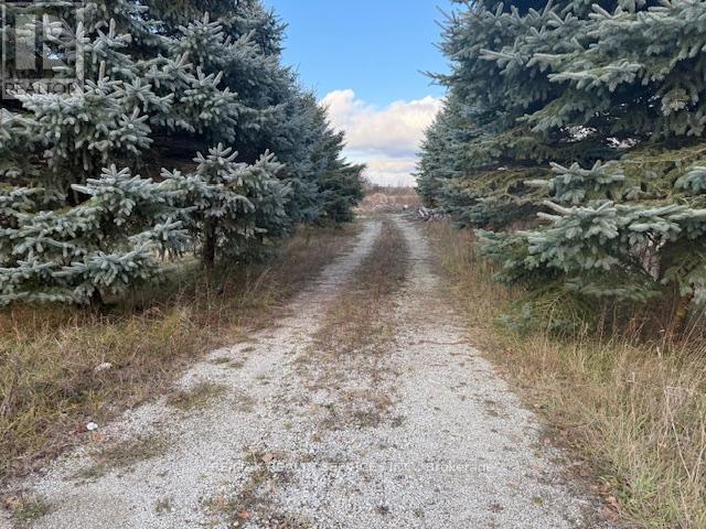 231039 Trafalgar Road, East Garafraxa, ON