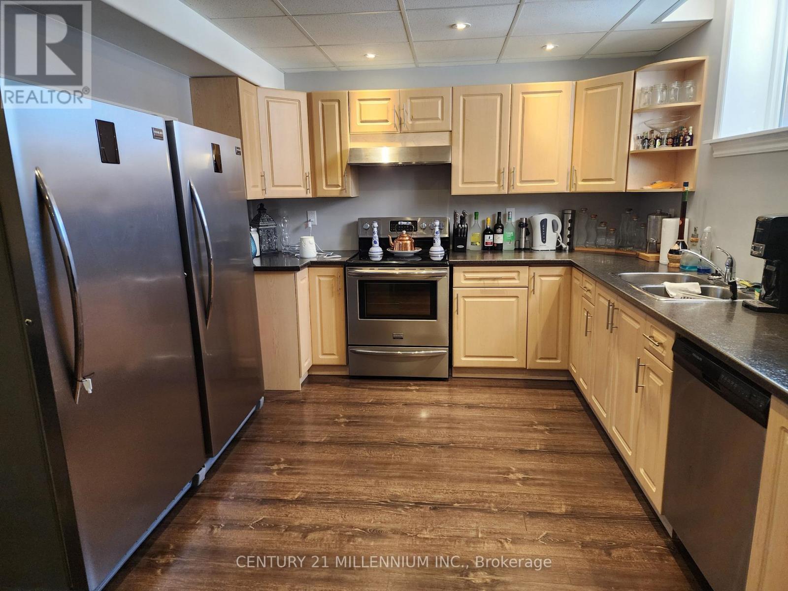 Basement Kitchen - 524 Davis Drive, Shelburne, ON - Indoor Photo Showing Kitchen With Double Sink