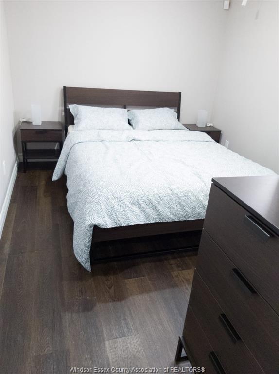 Lower Level-4694 Helsinki, Windsor, ON