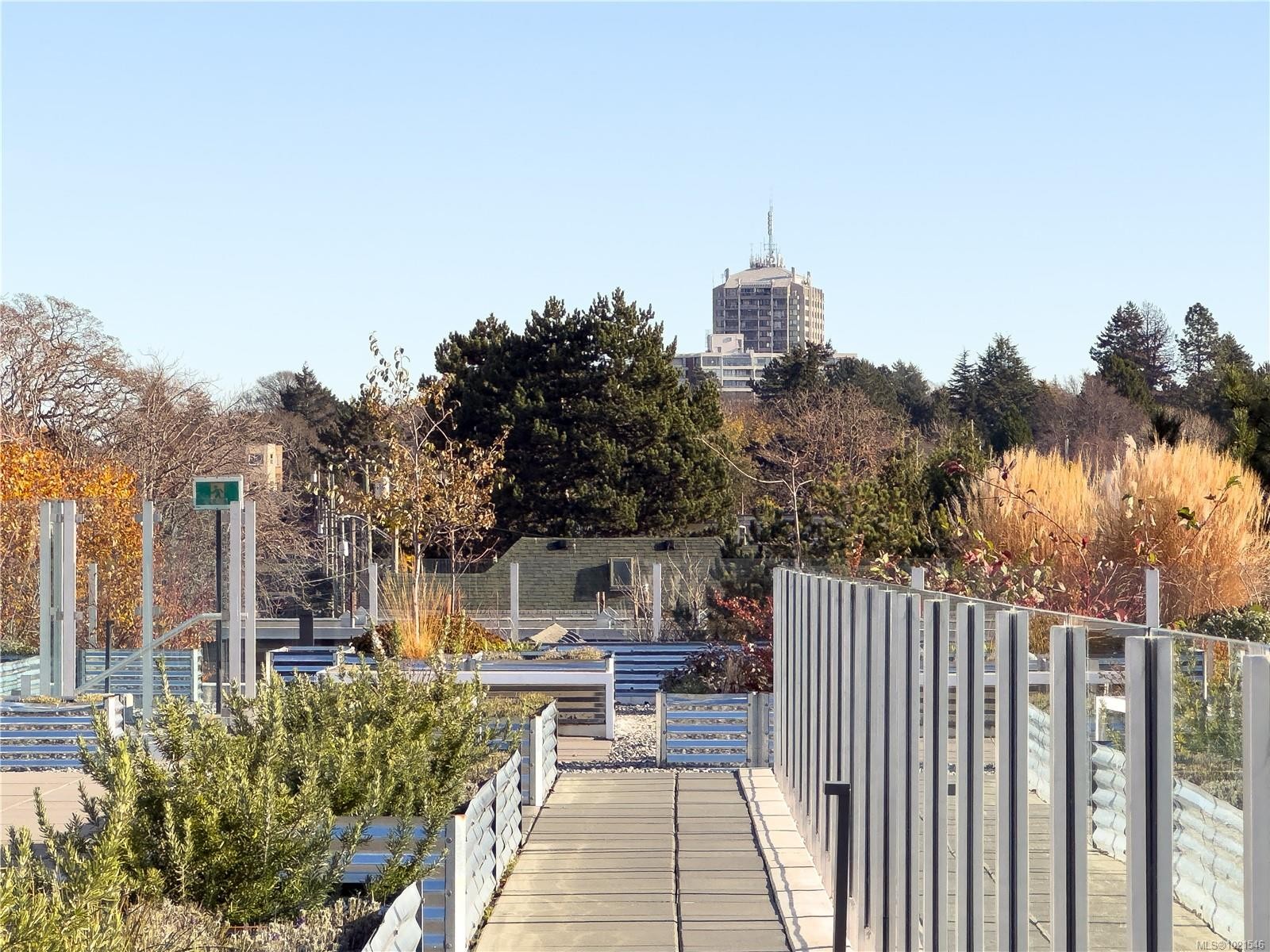 N312-1105 Pandora Ave, Victoria, BC - Outdoor