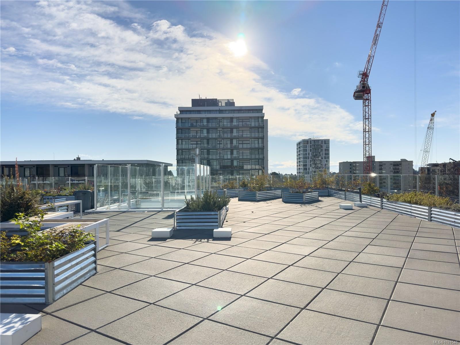 N312-1105 Pandora Ave, Victoria, BC - Outdoor