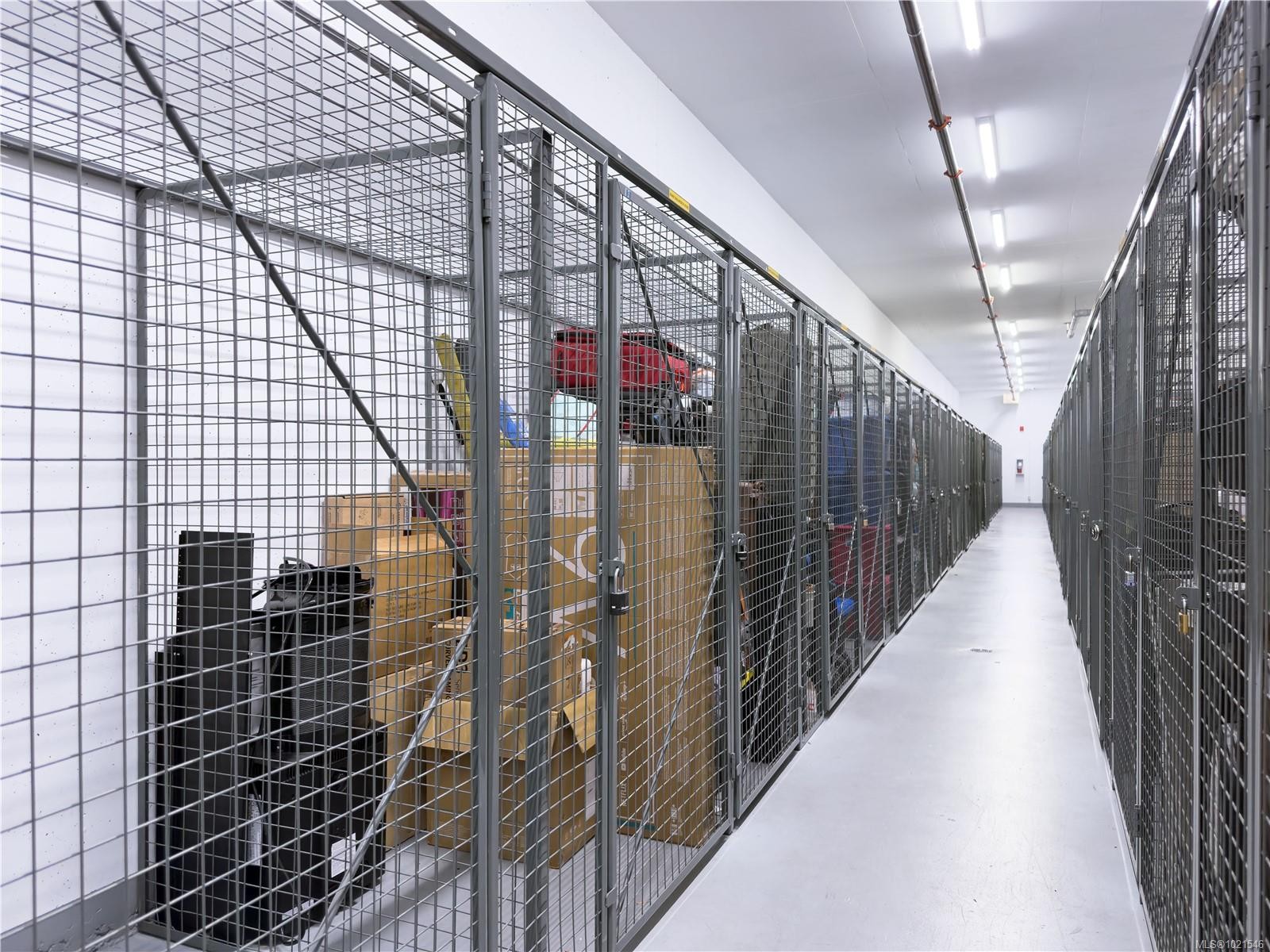 N312-1105 Pandora Ave, Victoria, BC - Indoor Photo Showing Other Room