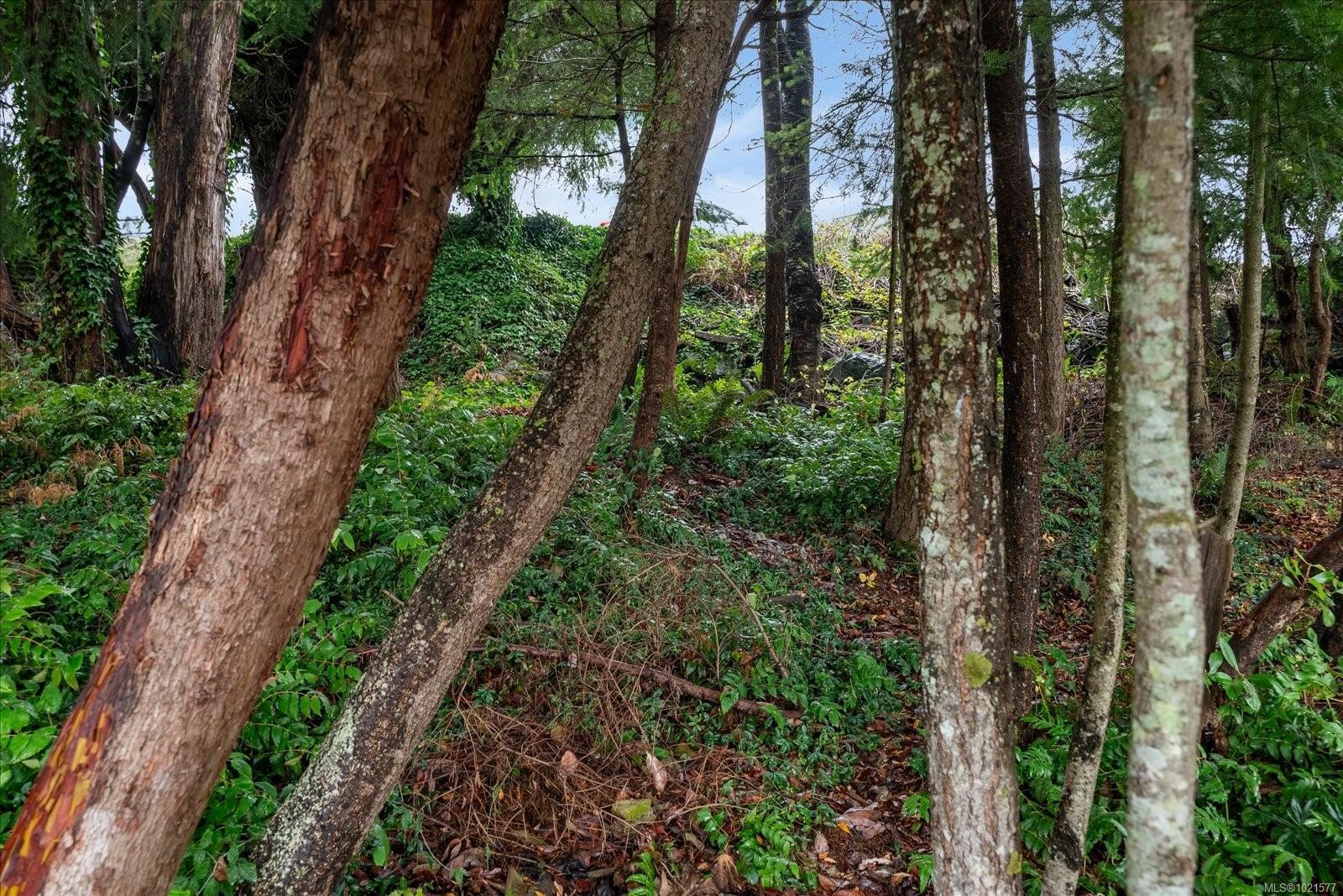 1085 College Dr, Nanaimo, BC