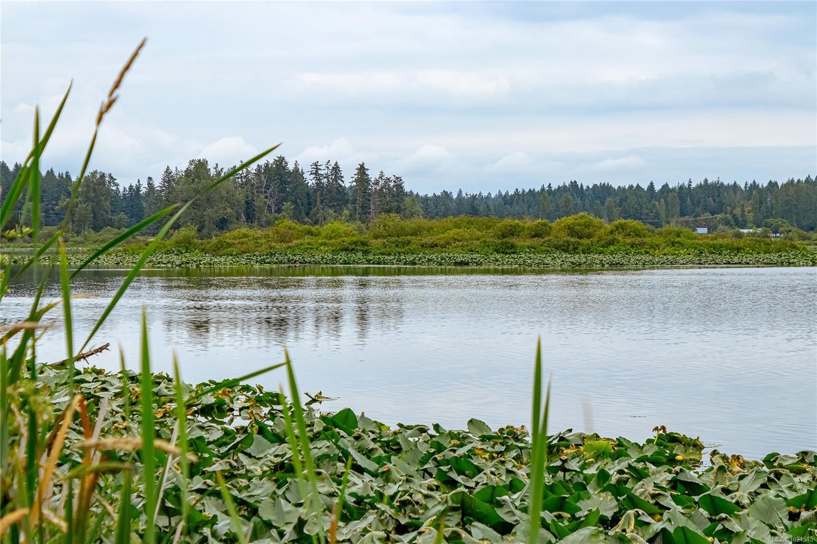 13289 Prospect Dr, Ladysmith, BC