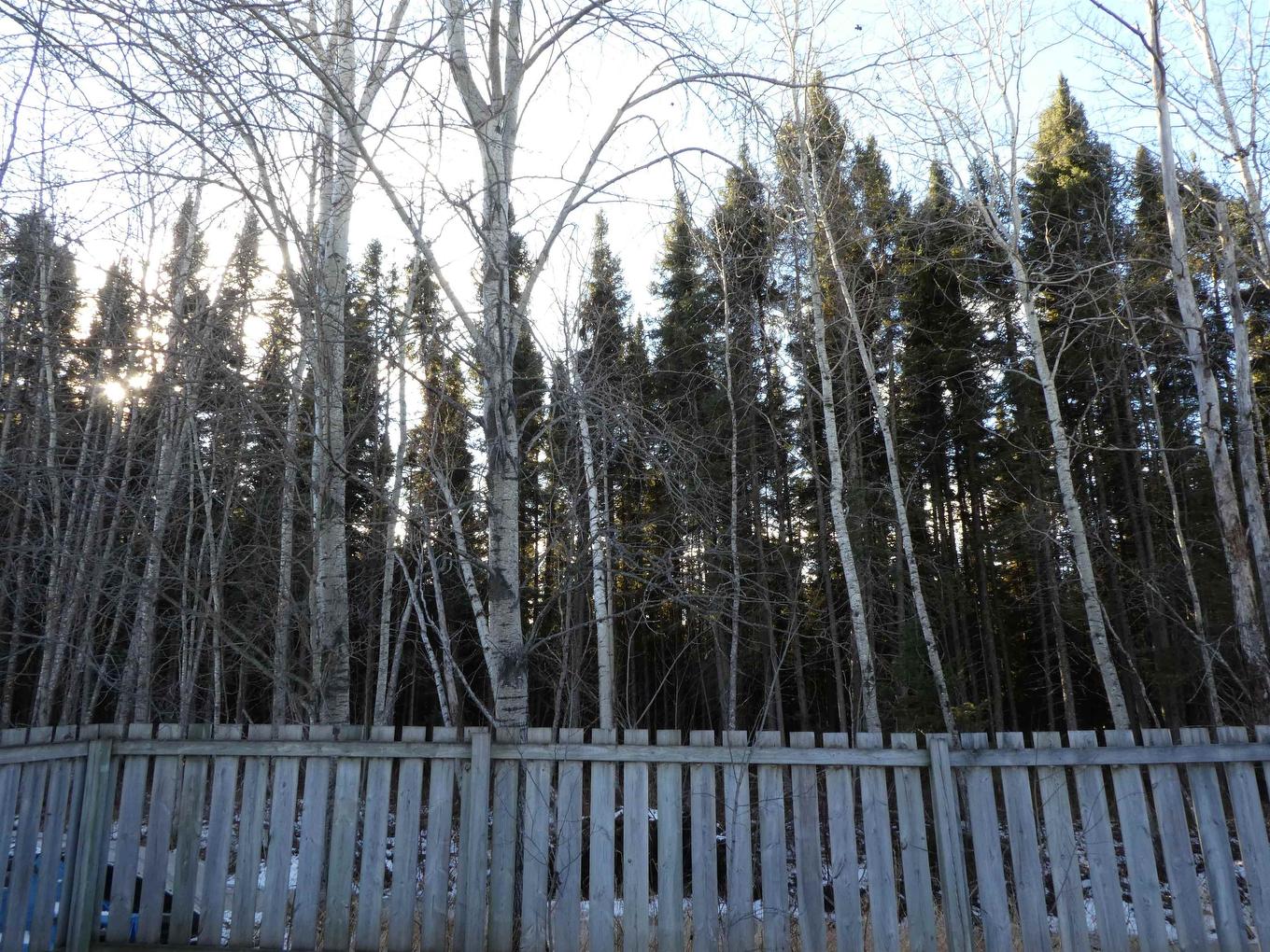 305 Clarke Avenue Se, Geraldton, ON - Outdoor