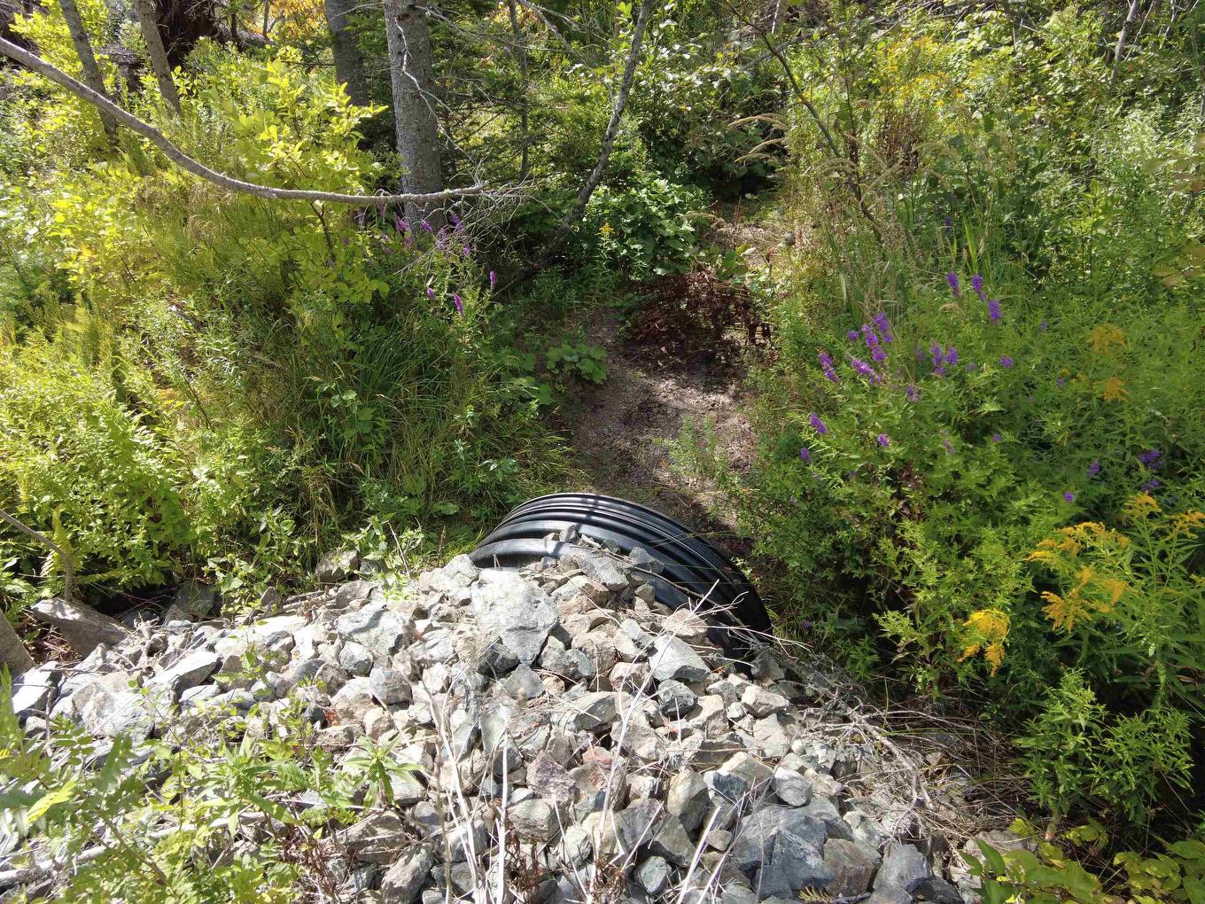 Acreage Rte 2, St. Peter'S, PE