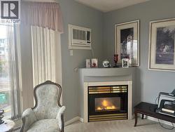cozy fireplace - natural gas -