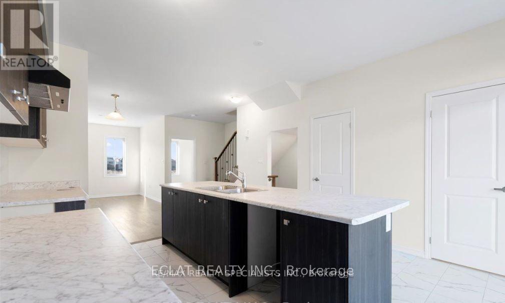 233 Gillespie Drive, Brantford, ON - Indoor Photo Showing Kitchen With Double Sink