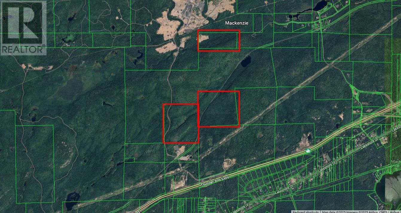 20Z & 21Z Mcgregor St, Shuniah, ON