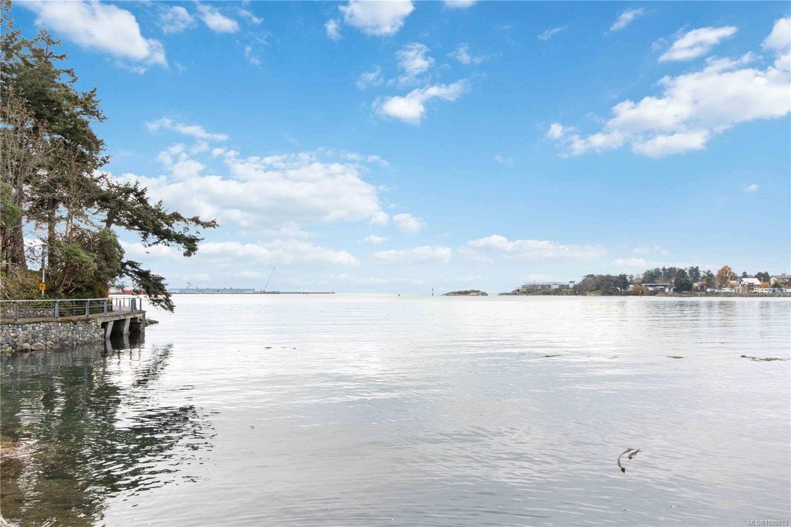 206-327 Maitland St, Victoria, BC - Outdoor With Body Of Water With View