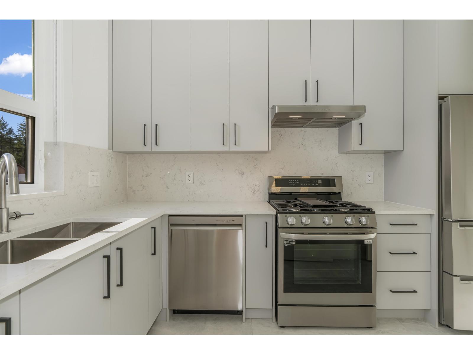 20062 27A Avenue, Langley, BC - Indoor Photo Showing Kitchen With Double Sink With Upgraded Kitchen