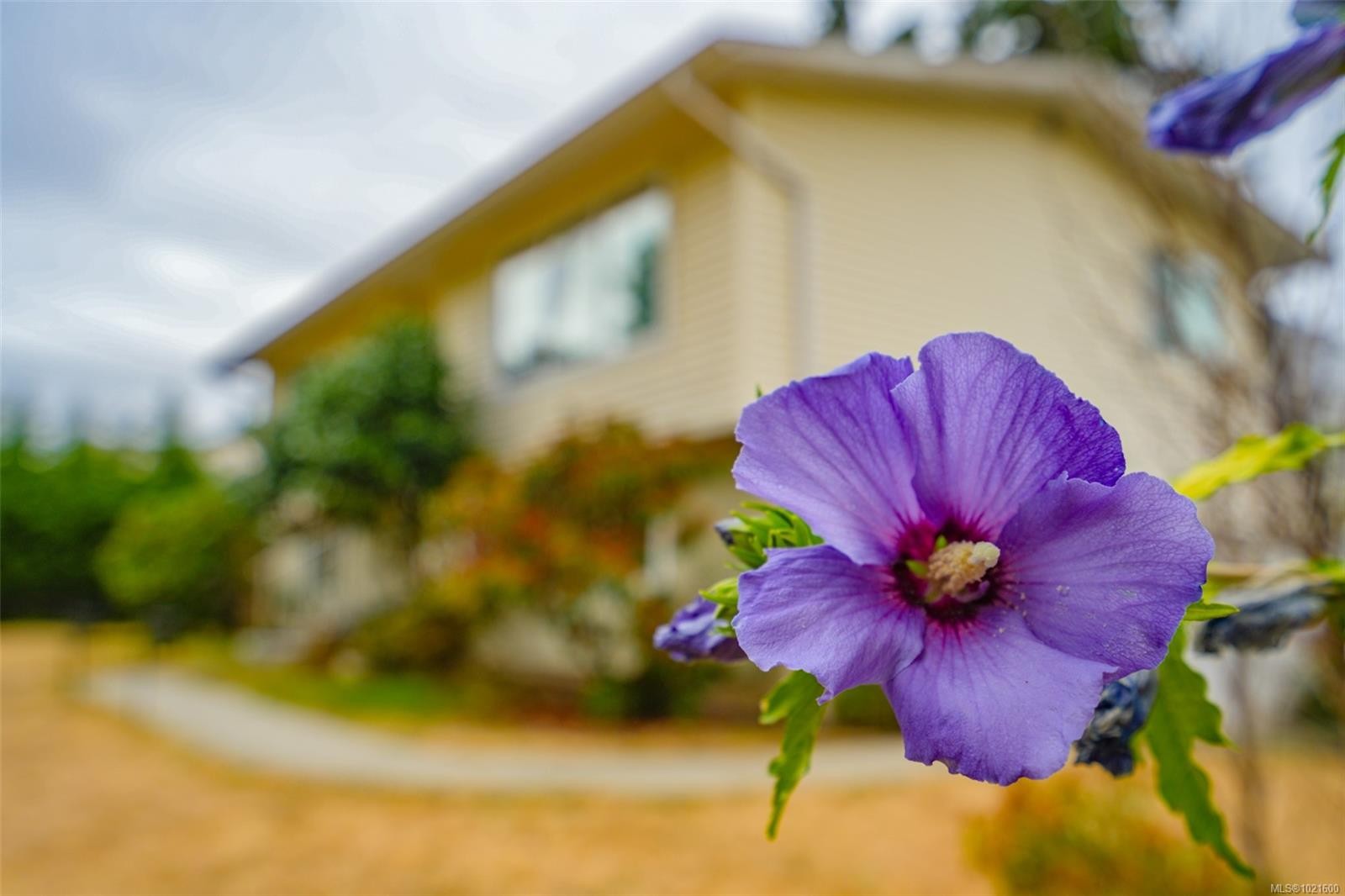 4594 Alwyn St, Port Alberni, BC